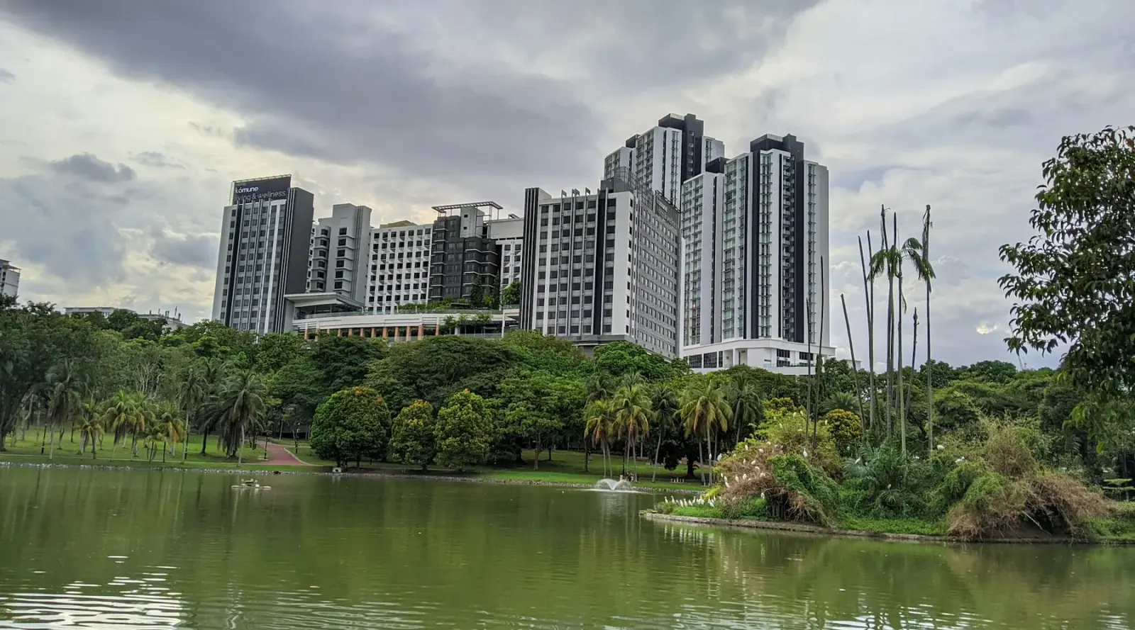 Apartment towers rising above a green lakeside park